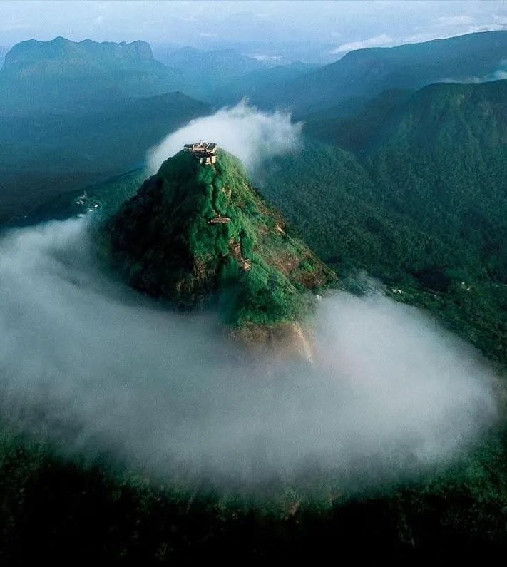 Nature , All